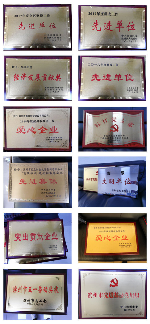 資質(zhì)榮譽(圖2)